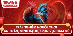 Trải nghiệm đá gà tg88 online tại trường đấu thomo campuchia
