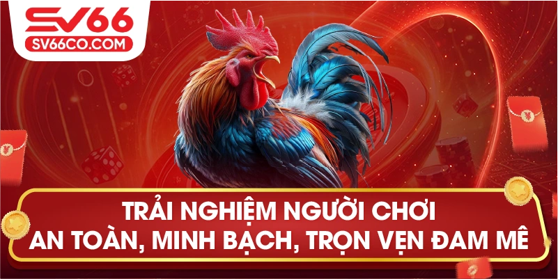 Trải nghiệm đá gà tg88 online tại trường đấu thomo campuchia
